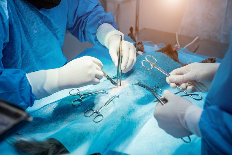 Które narzędzia chirurgiczne mają zastosowanie jednorazowe?